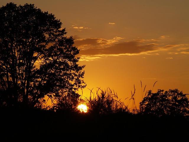 Escape & Renew: Top Wellness Retreats for True Rejuvenation Escape & Renew: Top Wellness Retreats for True Rejuvenation