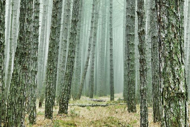 Top Solo Adventure Travel Spots You’ll Love Exploring Top Solo Adventure Travel Spots You’ll Love Exploring