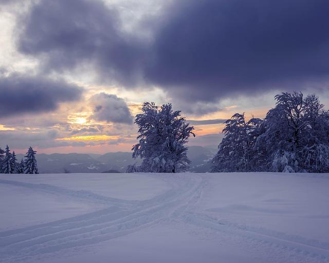 Top Snowshoeing Adventures for Winter Lovers to Explore Top Snowshoeing Adventures for Winter Lovers to Explore