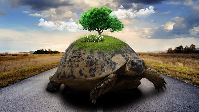 Why Slow Travel Makes Every Trip More Enjoyable Why Slow Travel Makes Every Trip More Enjoyable