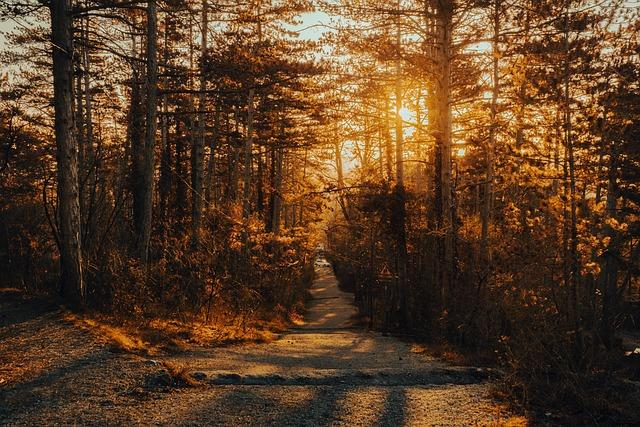 Top Thrilling Hiking Trails Every Adventure Seeker Must Try Top Thrilling Hiking Trails Every Adventure Seeker Must Try